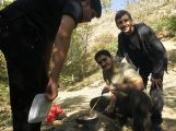 gallery_latest_0